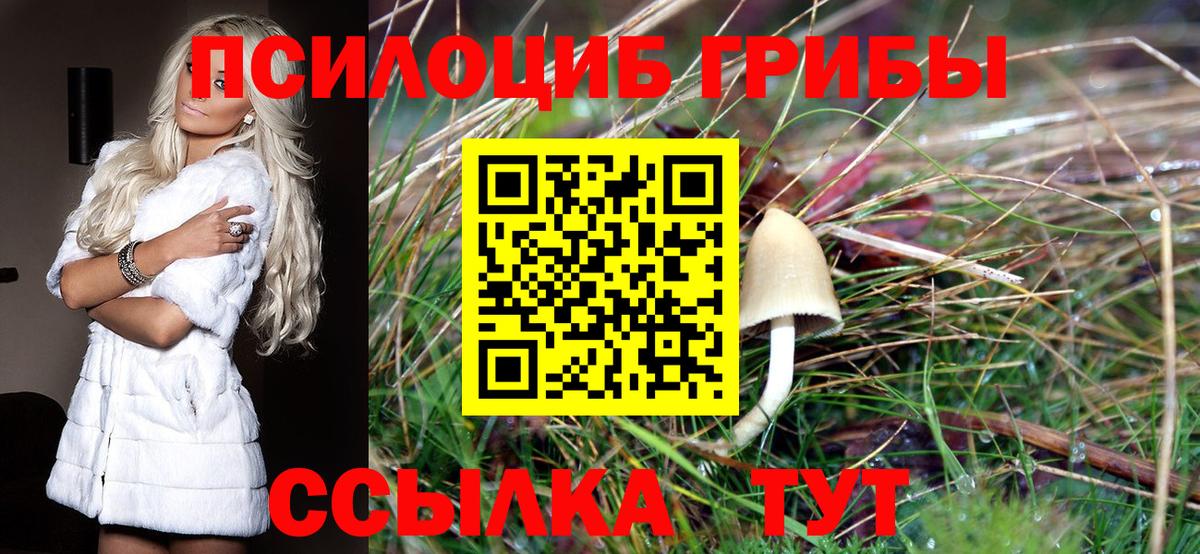 Красный Сулин  Галлюциногенные грибы Cubensis  Вход с VPN  Галлюциногенные грибы ЛСД 