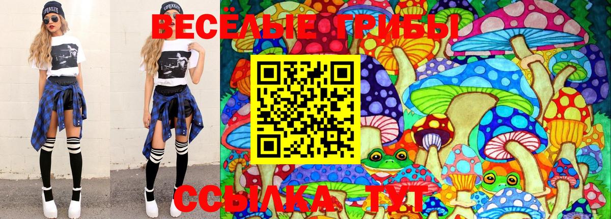 Галлюциногенные грибы MAGIC MUSHROOMS Красный Сулин